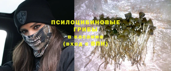 метадон Сатка